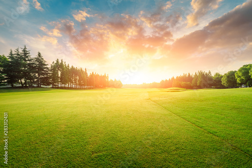 Cuadros en Lienzo Green grass and forest with beautiful clouds at sunset