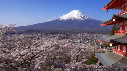 Fototapete - Panning shot of Mt. Fuji with Chureito Pagoda in Spring, Fujiyoshida, Japan
