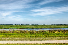 Concrete Bicycle Path Along The Wetlands Next To The New Reevediep River Channel Near Kampen, The Netherlands, Created To Prevent Flooding Of The IJssel River Under A Summer Sky With Cirrus Clouds