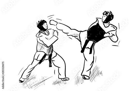 Dekoracja na wymiar  taekwondo