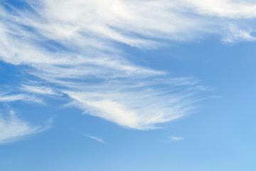Wall Mural - white fluffy cirrus clouds in a stratosphere. light fiber like spindrift clouds high in the blue sum