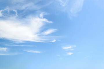 Wall Mural - white fluffy cirrus clouds in a stratosphere. light translucent fiber like spindrift clouds high in 
