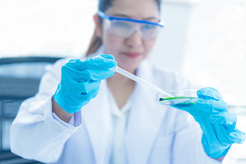 Wall Mural - close up hand scientists study health care and researchers doing some research with dropper chemical