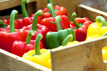 Wall Mural - Colorful sweet bell pepper in the wood box