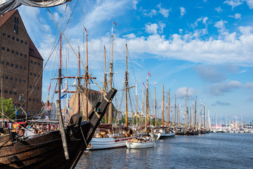 Wall Mural - Segelschiffe auf der Hanse Sail in Rostock