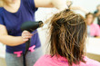 © Miljan Živković - Professional female hairdresser drying woman's hair styling using blow dryer at the hairdressing saloon