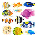 Fototapeta  - Sea fishes vector flat cartoon illustration. Tropical ocean reef or home aquarium exotic fishes set