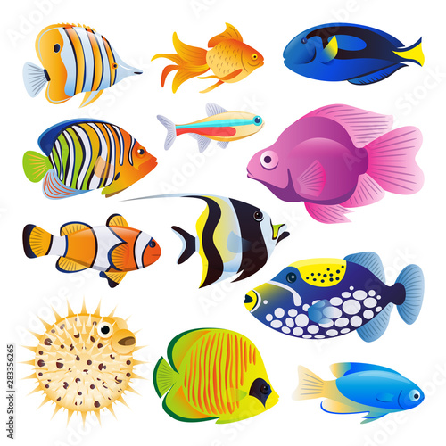Cuadros en Lienzo Sea fishes vector flat cartoon illustration