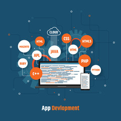 programming and software, website and application development. flat vector illustration
