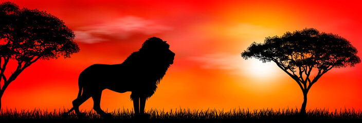 African lion on sunset background. Silhouette of an African lion. Lion on the background of the sun and trees. African wild landscape. Sunset. Wildlife of Africa