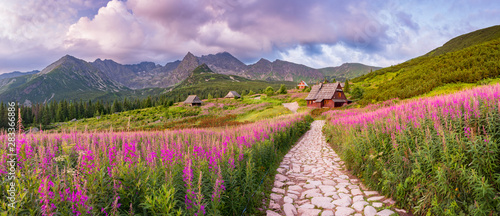 mountain landscape, Tatra mountains panorama, Poland colorful flowers and cottag Tapéta, Fotótapéta