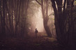 Wanderer im Wald mit Nebel