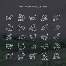 Modern Farm Animals Symbols Linear Icons Set Of 25 Icons Drawn In Vector And Isolated On Background