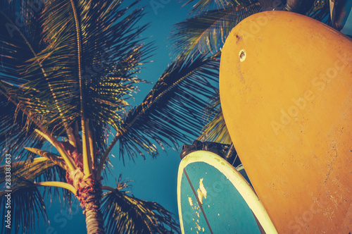 Dekoracja na wymiar  vintage-deski-surfingowe-i-palmy