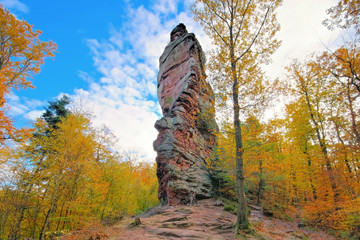 Wall Mural - Bindesbacher Turm im Pfälzer Wald im Herbst - the rock Bindesbacher tower in Palatinate Forest in autumn