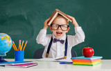 Fototapeta Panele - funny child   schoolboy  boy student about school blackboard