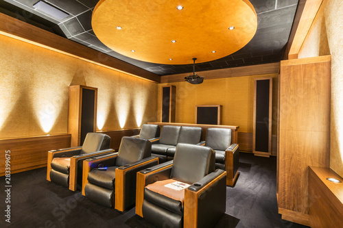 Luxury Home Theater Design Home Cinema Room Private