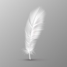 Realistic Feather. Single White Soft Bird Wings Smooth Fluff On Transparent Background Vector Image