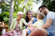© NDABCREATIVITY - Happy family playing and enjoying picnic with children outside