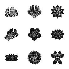 Cacti Succulent Icon Set. Simple Set Of 9 Cacti Succulent Vector Icons For Web Design Isolated On White Background