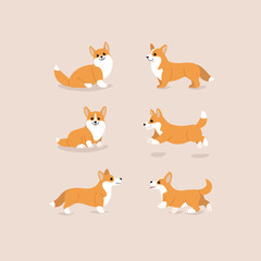  Corgi dog icon set. Different poses of corgi dog. Cartoon illustration for prints, clothing, packaging, stickers, stickers.