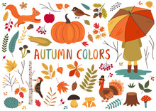 Set Of Isolated Autumn Colorful Elements  - Vector Illustration, Eps    