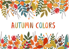 Seamless Horizontal Banner With Autumn Colorful Plants - Vector Illustration, Eps    