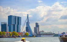 A View Of The Erasmusbrug (Erasmus Bridge) Which Connects The North And South Parts Of Rotterdam, The Netherlands.