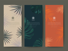 Branding Packaging Tropical Plant Leaf Summer Pattern Background, For Spa Resort Luxury Hotel, Logo Banner Voucher, Fabric Pattern, Organic Texture. Vector Illustration.
