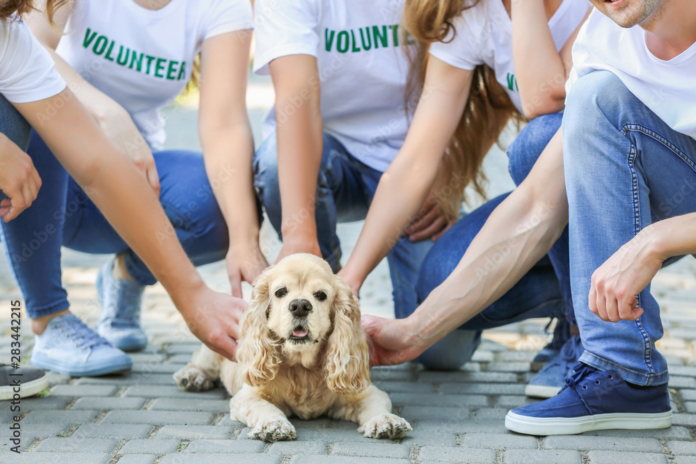 Volunteers with cute dog outdoors