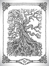 Symbol Of Four Calendar Year Seasons And Old Tree. Vector Line Art Mystic Illustration. Engraved Drawing In Gothic Style. Occult, Esoteric And Fantasy Concept.