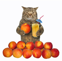 The cat with a glass of fresh juice is next to  a pile of peaches. White background. Isolated.