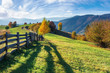 beautiful rural area in autumn. wonderful autumn landscape. trees on the grassy field on hillside. wooden fence along the road in to the distance