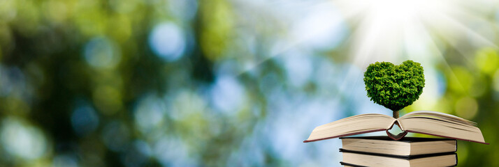 A stylized image of a tree in the shape of a heart on books on a background of a fantastic landscape.