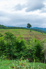 Poster - Agricultural area with mountain view of Mae Chaem district in Chiang Mai province