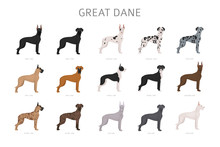 Great Dane. Different Variaties Of Coat Color Dog Set