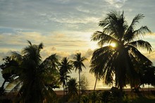 Scenic View Of Desaru Beach (located In Malaysia) With Sunrise In The Background, And Palm Trees In The Foreground ..