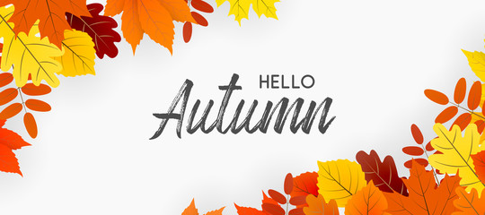 Wall Mural - hello autumn falling leaves. autumnal foliage fall and poplar leaves. autumn design. templates for p