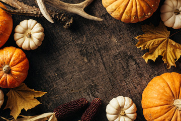 Wall Mural - pumpkins and corn and autumn leaves on old shabby background. autumn background with copy space.