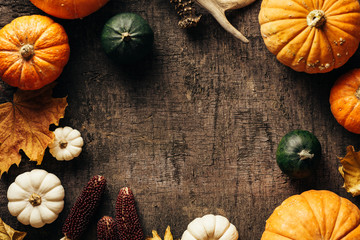 Wall Mural - small pumpkins, decorative corn, maple leaves on a dark wooden background. autumn background with co