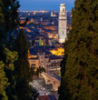 Verona Panorama