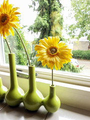 Wall Mural - yellow flowers in a green vase on a windowsill with green view colorful