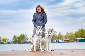 Young beautiful girl with red hair is sitting on a pier with two husky dogs. Woman with a pair of Siberian Husky