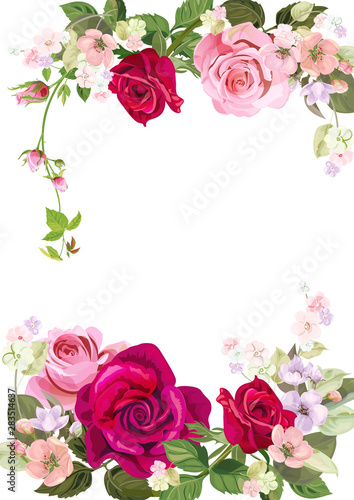 Wedding invitation with bouquet of pink, red roses: flowers, spring blossom, ...