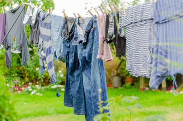 Wall Mural - Clothes drying on a washing line in a residential garden.