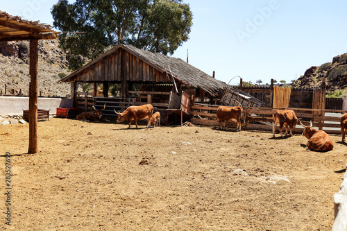 Cuadros en Lienzo Wild west and wooden shed and fence in the old town.