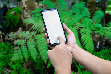 Mockup smartphone. Female holding phone in hand with blurred garden at home. Blank screen mock up mobile phone for your advertisement artwork concept.