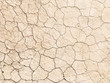 © Nastya Tepikina - Dried cracked earth soil ground texture background