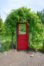 Red Door In Garden