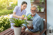 Caregiver help assist senior old man eldery puring water and taking care small tree on table